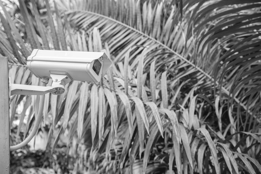 Télésurveillance et levée de doute